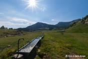 abreuvoirs sous soleil de morgon