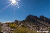 aiguilles chabrieres fleurs jaunes soleil