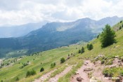 alpages morgon depuis cretes