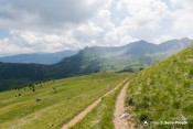 alpages sentier tour cretes morgon