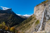 arbre solitaire cascade pisse