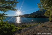 arbres plan eau embrun sous soleil