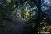 arche sentier echelle