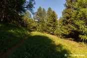 arrivee clairiere sentier echelle
