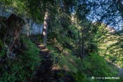 arrivee rocher sentier echelle