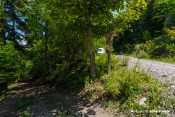 arrivee route forestiere sentier echelle