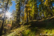 ascension foret clot jarry