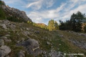 balisage fleche traverse sentier col de la rousse