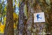 balisage lieutenant widman sur meleze