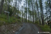 bifurcation piste platriere sentier meale