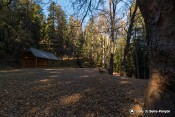 cabane fontaine ours automne