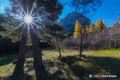 caches cache avec soleil a pierre arnoux