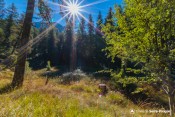 captage ancien lac lauzerot