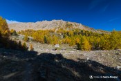 chapelles et fontaines seyres au loin