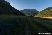 chemin agricole fleuri