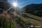 chemin crachet petit matin