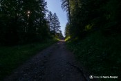 chemin forestier petit matin grand clot