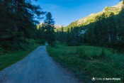 chemin pra paisset