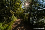cheminement liou chemin en foret