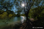 cheminement liou mangrove soleil