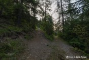 depart sentier bifurcation distroit