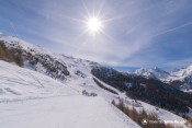 descente piste les coqs