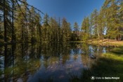 eau verte au lac lauzerot
