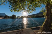 echelle sous arbre plan eau soleil