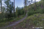 en route pour piste forestiere depuis parking meale