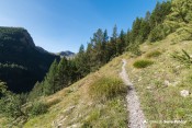 entree sous bois melezin sentier col tourettes