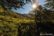 entree vallon du crachet