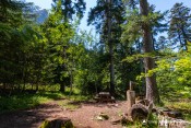 fontaine source pignee sentier echelle