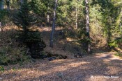 grotte fontaine ours et banc