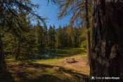 instant calme au lac lauzerot