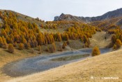 lac morgon automne