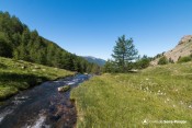 linaigrettes torrent crachet