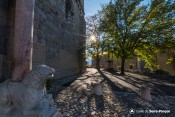 lion porche cathedrale embrun