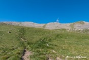 montee dans vallon crachet