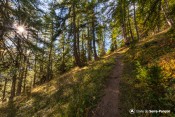 montee melezin rayon soleil sentier col de la rousse