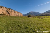 moutons prairies vertes roc