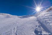 neige bord piste gentianes
