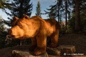 ours vue longitudinale