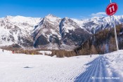 panneau scorpius stries piste damee
