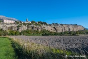 parcelles sous le roc