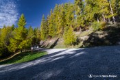 parking foret suivre randonneur de gauche