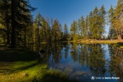 pelouses au lac lauzerot