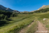pelouses vertes cabane eyssalette