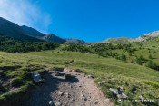 pelouses vertes sous aupillon vallon eyssalette