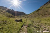 pente vertes vallon crachet