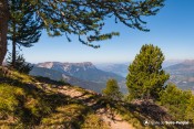 pin cembro vue serre poncon au dessus croix de pierre sentier meale